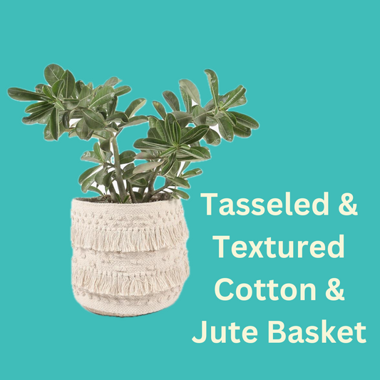 Tasseled & Textured Cotton & Jute Basket