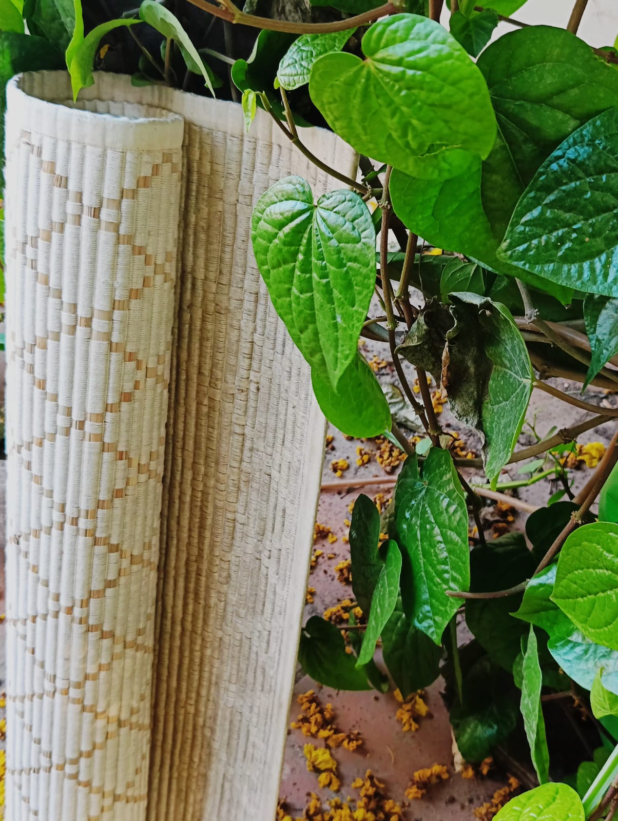 Handmade Eco-friendly Elephant grass/Sambu Sleeping and yoga mat